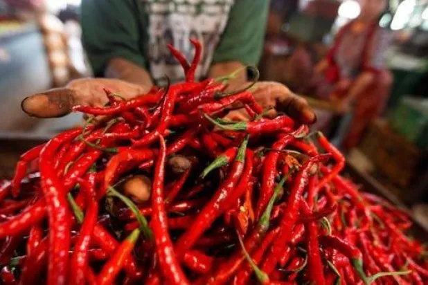 تاجر الفلفل الحار يعرضه للبيع في سوق بجاكرتا (أرشيفية - رويترز)