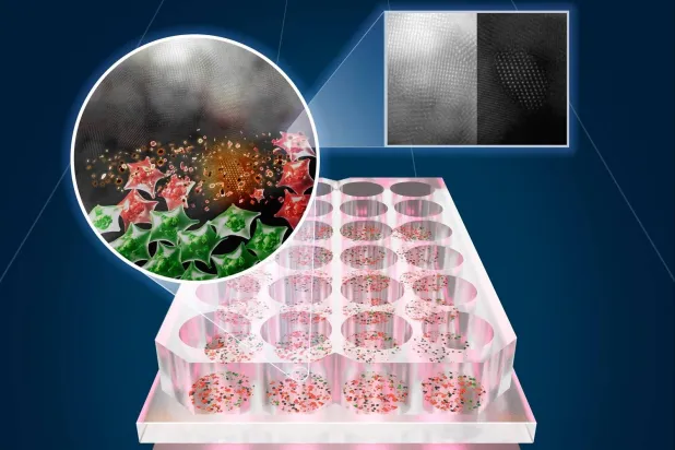العلاج يستخدم الضوء لتسخين الخلايا السرطانية حتى تموت من دون المساس بالخلايا السليمة (جامعة تكساس)