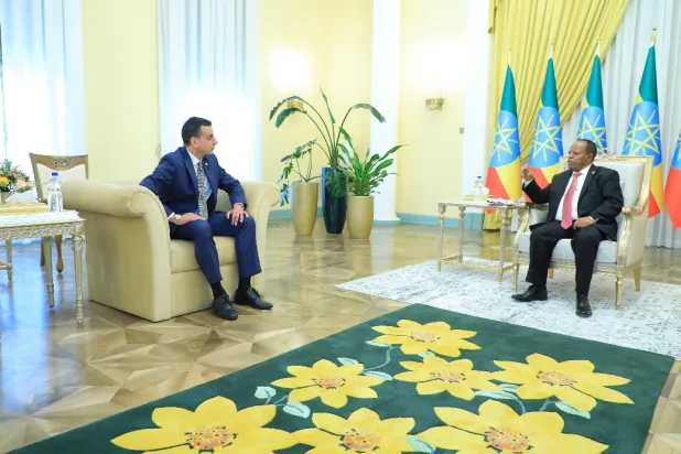 الرئيس الإثيوبي تايي أتسكي سيلاسي يستقبل السفير المصري الجديد عبيدة الدندراوي (وكالة الأنباء الإثيوبية)