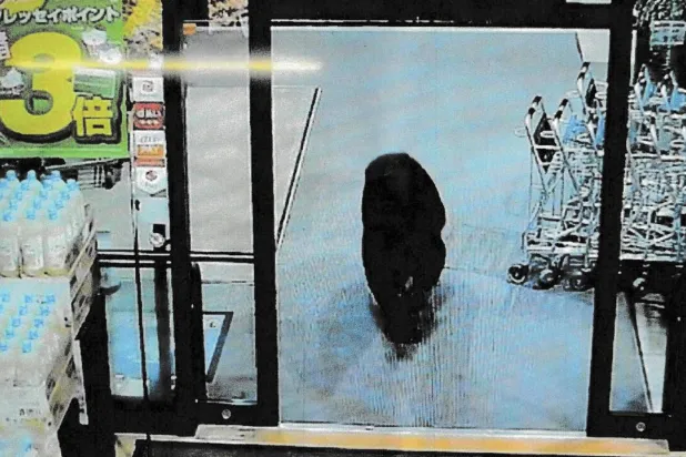 Last week an adult bear entered a supermarket in Numata, Gunma, north of Tokyo. STR / GUNMA PREFECTURAL POLICE VIA JIJI PRESS/AFP/File
