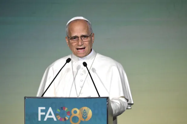 بابا الفاتيكان ليو الرابع عشر (إ.ب.أ)