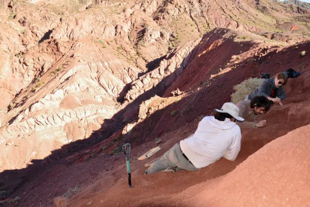 Handout photo released by Argentina's CONICET shows researchers working in the area where the remains of Huayracursor jaguensis were found in Quebrada de Santo Domingo, La Rioja province, Argentina, on March 15, 2018. (Photo by CONICET Press Office / CONICET / AFP) 