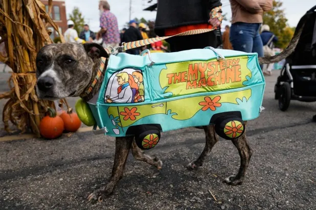  Visitors walk their dogs during an event for dog trick-or-treating, Friday, Oct. 17, 2025, in Lansing, Mich. (AP)