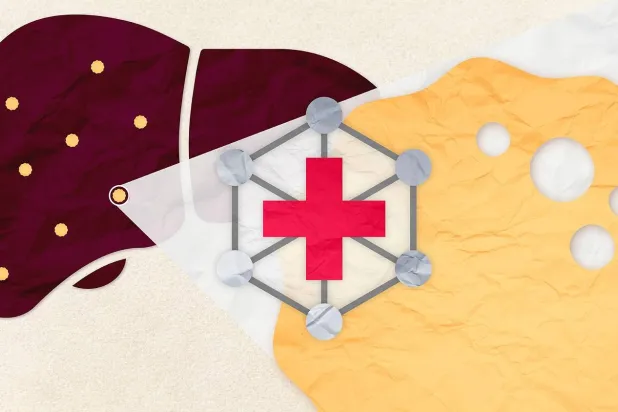 علاج جديد يقلل الالتهاب وتراكم الدهون في الكبد