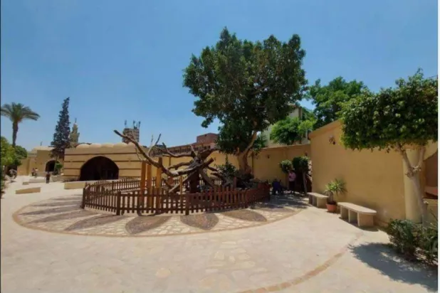 «شجرة مريم» في المطرية ضمن مسار العائلة المقدسة بمصر (وزارة السياحة والآثار)