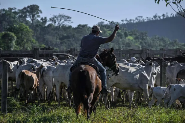 يرى مربو الماشية الأميركيون في الاقتراح تهديدا لمصدر رزقهم ولآليات السوق الحرة (أ.ف.ب)