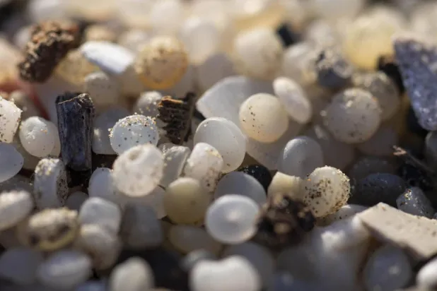 Industrial plastic pellets washed up on a Catalonian beach in 2024. Josep LAGO / AFP
