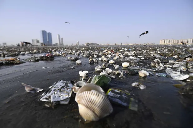النفايات البلاستيكية تسهم في تلويث شاطئ كراتشي الباكستاني مما ترك الخط الساحلي مليئاً بالقمامة (إ.ب.أ)