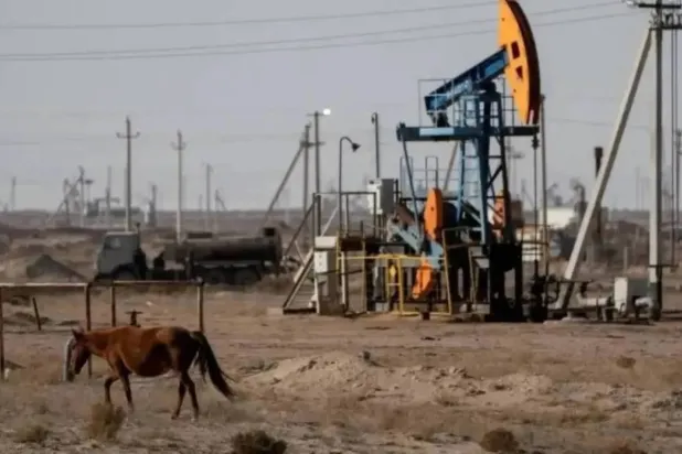 حصان يرعى بالقرب من منصة حفر نفطية في كازاخستان (رويترز)