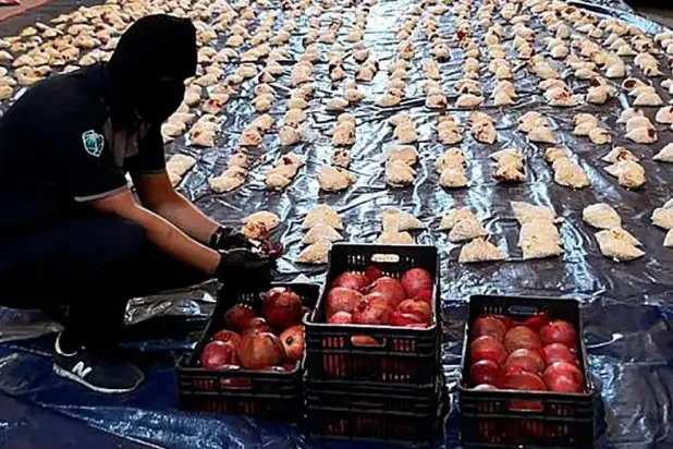 عنصر أمن سعودي يعرض المخدرات المضبوطة في ثمرات رمان انطلقت من لبنان وضُبطت في السعودية عام 2021 (أرشيفية - أ.ب)