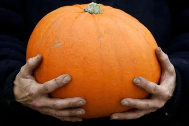 اليقطين المطبوخ قد يكون ألطف على المعدة (رويترز) 