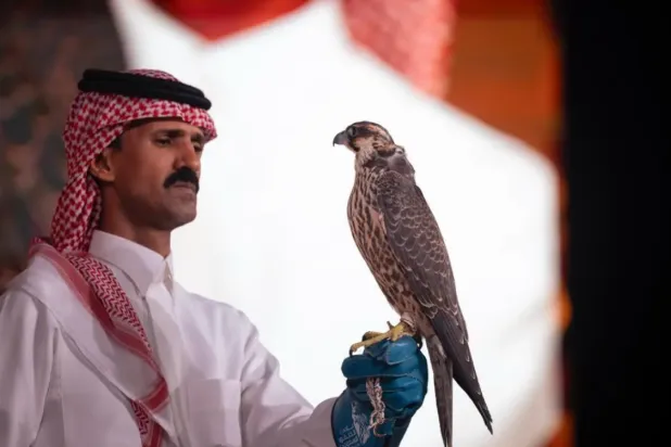 Falconer Nawaf Al-Enezi sold the first peregrine falcon (shaheen) of his career for SAR193,000  - SPA