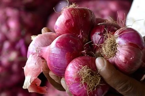 لا تخلو أطباقنا اليومية من البصل (أ.ف.ب)