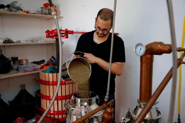 Asya ve Avrupa mutfağının gözdesi olan anason tohumları, bayram kurabiyelerine ve sıcak şaraplara ekleniyor (AFP)