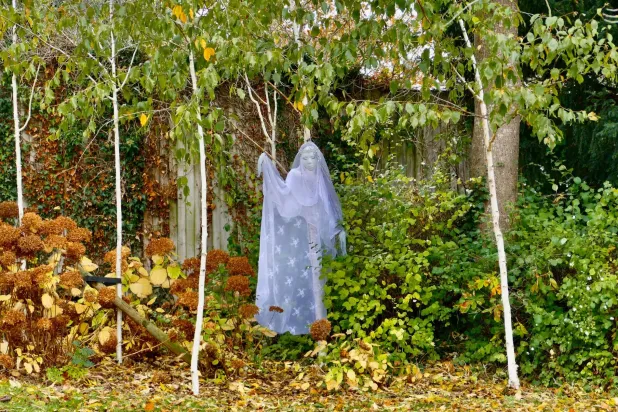 الأرواح تعود إلى واجهة الحكاية الشعبية (شاترستوك)