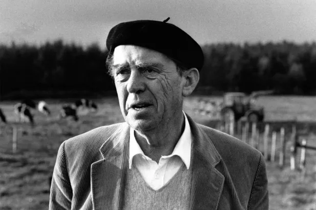 هاينريش بول (غيتي)