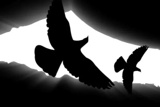 المعرض يقدم أعمالاً عن الحرية والقضية الفلسطينية (منظمو المعرض)