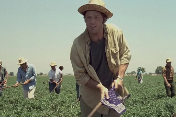 «مدينة سمينة»: ستايسي كيتش ملاكم في الحقل (كولمبيا بيكتشرز)