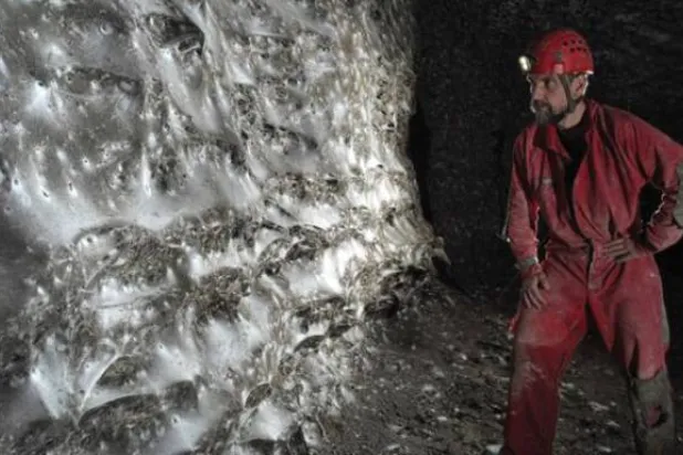 كهف أشبه بـ«عاصمة العناكب» (جامعة ترانسلفانيا)