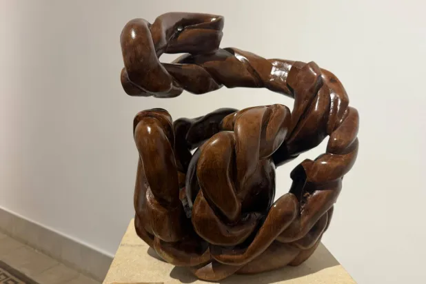 الخشب يبحث عن طريقه نحو مساحة أوسع (الشرق الأوسط)