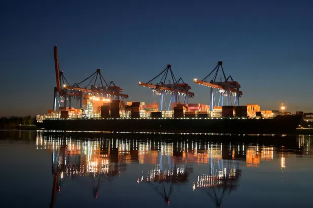 A container ship is seen at the loading terminal "Altenwerder" in the port of Hamburg, Germany, February 17, 2025. REUTERS/Fabian Bimmer 