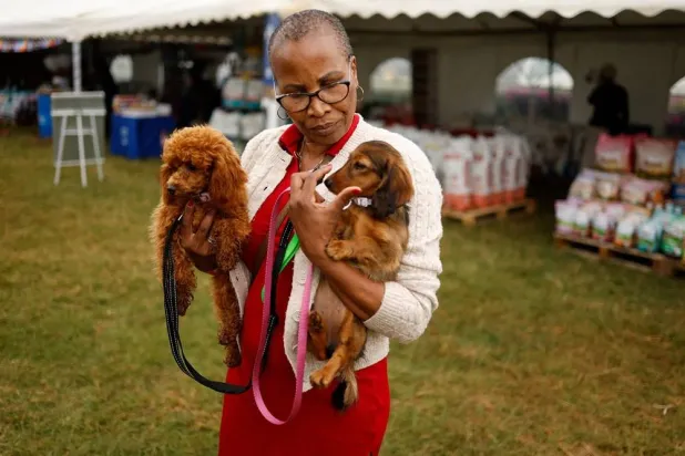 Fans and their pets participates in the 2025 Pawchella Shaggy Dog Show at Ngong Racecourse in Nairobi on November 9, 2025. (AFP)