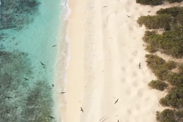 تتميَّز محميتَا «الثقوب الزرقاء» و«رأس حاطبة» بتنوع بيئي فريد وقيمة اقتصادية وسياحية عالية (الحياة الفطرية)