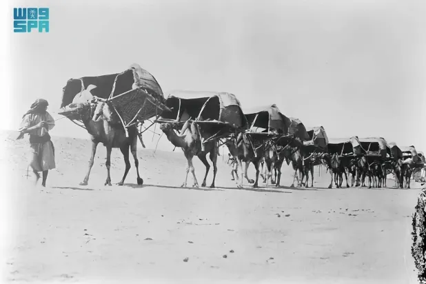 The pavilion features rare photos and historical documents illustrating the evolution of Hajj transport. (SPA)
