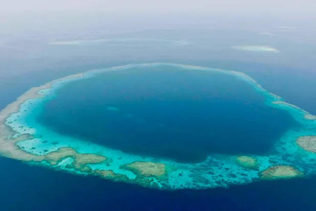 ارتفاع نسبة المناطق البحرية المحمية في السعودية (الحياة الفطرية)