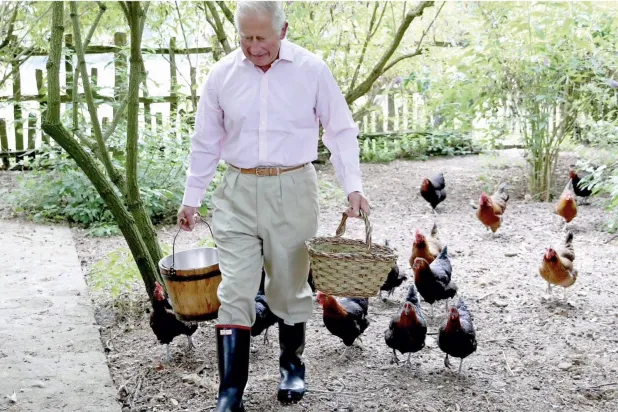 على مائدة الملك تشارلز... أطعمةٌ عضويّة وبيض الدجاجات التي يعتني بها شخصياً