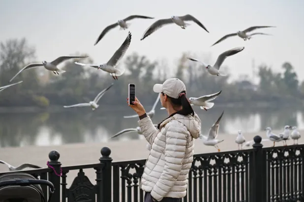 تهرب الطيور من نبرة الإنسان قبل خطوته (د.ب.أ)