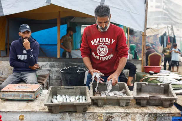 عودة سوق السمك أول مؤشرات وقف إطلاق النار وعودة الحياة إلى مرفأ غزة (رويترز)