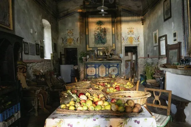 The Archeologia Arborea foundation saves fruit varieties to restore biodiversity and build resilience against climate change. Tiziana FABI / AFP
