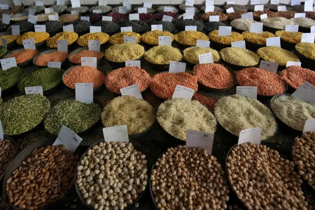 يعد العدس والفاصوليا أطعمة غنية بالبروتين النباتي والألياف والكربوهيدرات (رويترز)