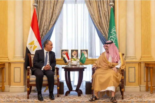 Saudi Foreign Minister Prince Faisal bin Farhan bin Abdullah and his Egyptian counterpart Badr Abdelatty meet in Riyadh in September. (SPA)
