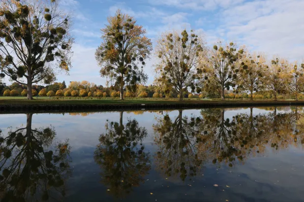 Autumn foliage is reflected in the River Thames, with Windsor Castle behind, in Windsor, Britain, October 22, 2025. REUTERS/Toby Melville