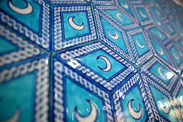 This photograph shows traditional Turkish patterns painted on tile in Iznik on October 31, 2025. (AFP)