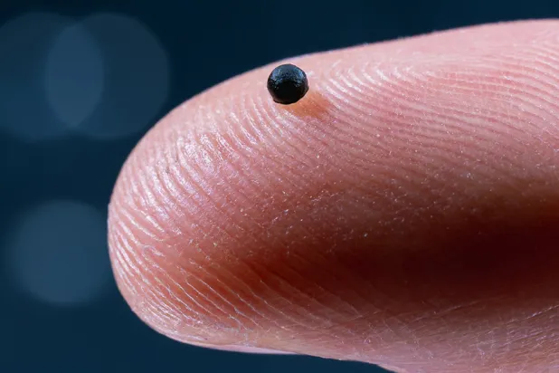 الكبسولة التي تُدار بالمغناطيس قد تكون مفيدة أيضاً في علاج تمدد الأوعية الدموية وسرطانات الدماغ (موقع المعهد الفيدرالي السويسري للتكنولوجيا)