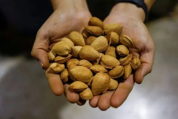 يرتبط تناول المكسرات بانتظام بالعديد من الفوائد الصحية (رويترز)