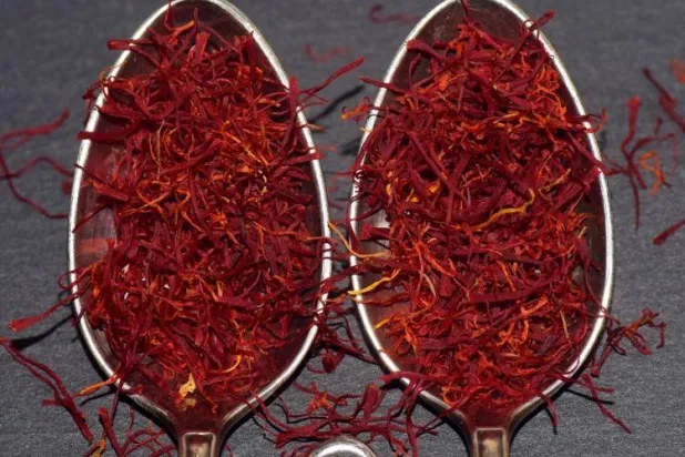 كشفت أبحاث عن قدرة الزعفران على تخفيف أعراض الاكتئاب (بيكسباي)