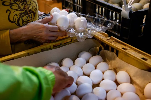أشخاص يشترون البيض في إحدى الأسواق بتايوان (رويترز)