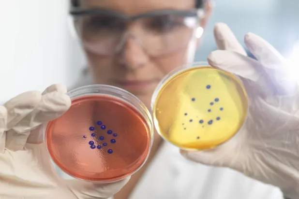 «مقاومة المضادات الحيوية»... خطر صامت يهدد المرضى