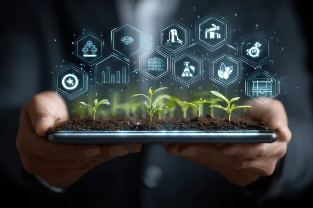 رغم اختلاف البيئات بين السعودية وبريطانيا وأستراليا تجمع المشاريع رؤية بناء زراعة مرنة وقادرة على مواجهة التغير المناخي (أدوبي)