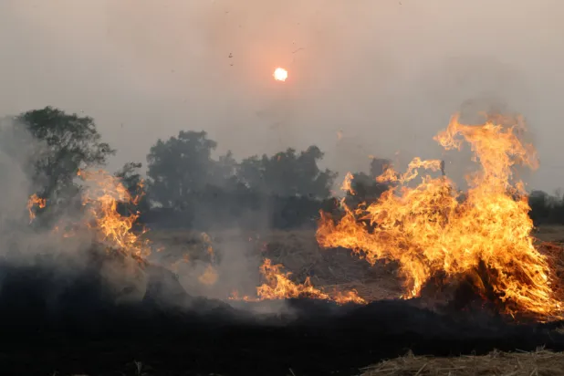  The fire reignited last Saturday following media reports that it was put out after breaking out in late October. (File Photo/Reuters)