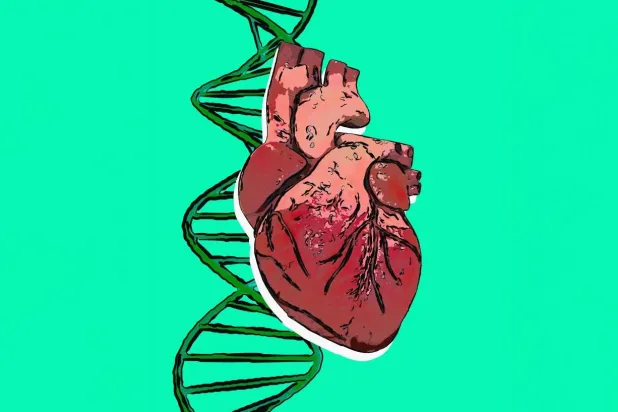 علاج جيني لأمراض القلب لدى المصابين بالسكري