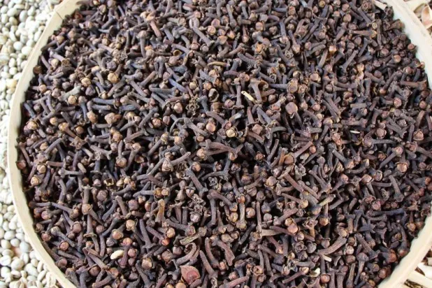 مجموعة من أعواد القرنفل (بكساباي)