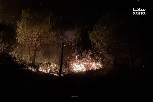 Lazkiye kırsalındaki orman yangınından, (SANA)