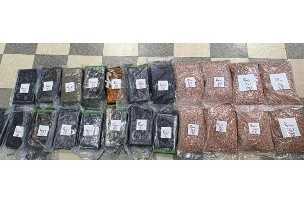 المخدرات التي ضُبطت موضبة بطريقة احترافية (المديرية العامة للأمن الداخلي)