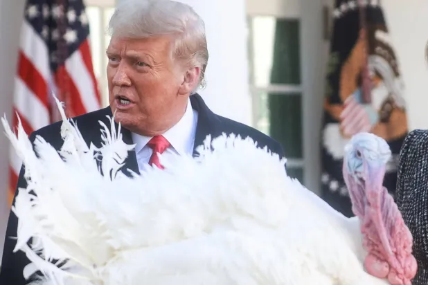 أوعز دونالد ترمب بتخفيض أسعار مكونات مائدة عيد الشكر التي في طليعتها الديك الرومي (رويترز)