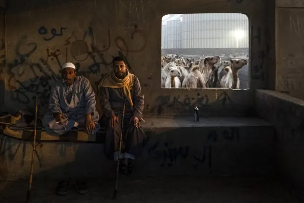 «سوق الجمال» لقطة الميدالية الذهبية (بينالي فياب للشباب)